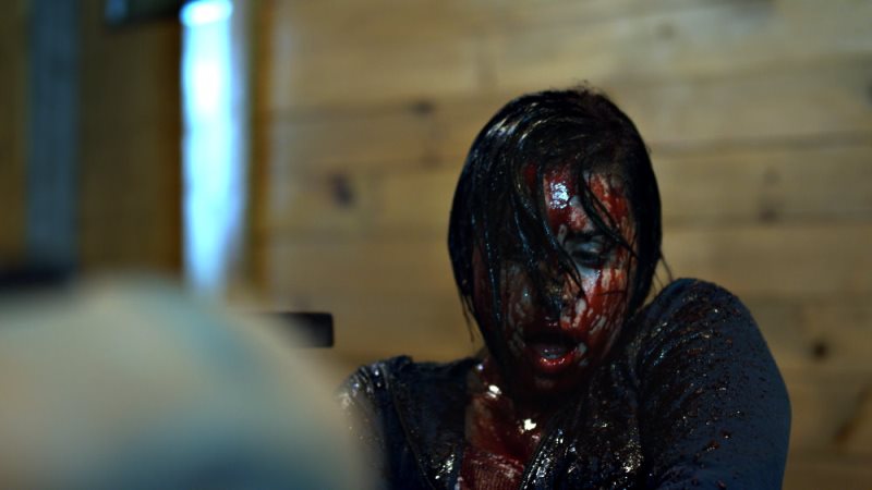 Nocturna2014J04Silentretreat