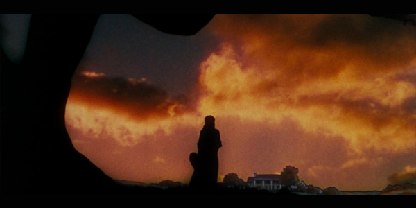 VinzClorthoDespedidasLoqueelvientosellevo