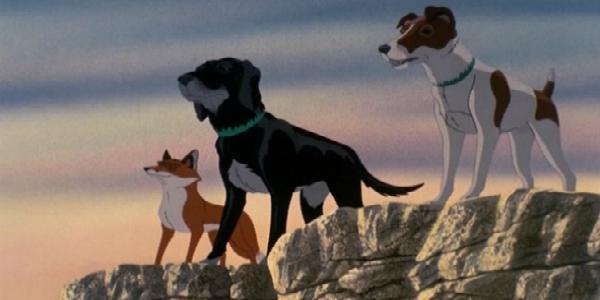 Losperrosdelaplaga01