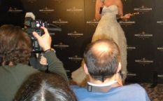 Resaca Oscar 2009, desde la sala de prensa