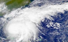 Celda de cifras: El huracán Irene destroza la taquilla
