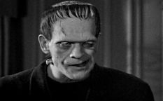 Escalofríos de cine: Cine de terror de la Universal... Frankenstein, o mi amigo del alma